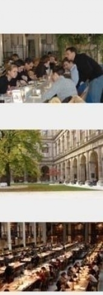Master Master of Laws (LL.M.), LL.M. Europäisches und Internationales Wirtschaftsrecht - Schwerpunkte / Curriculum